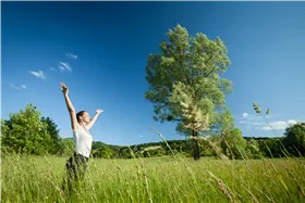 Diplom-Mentaltrainer-Ausbildung