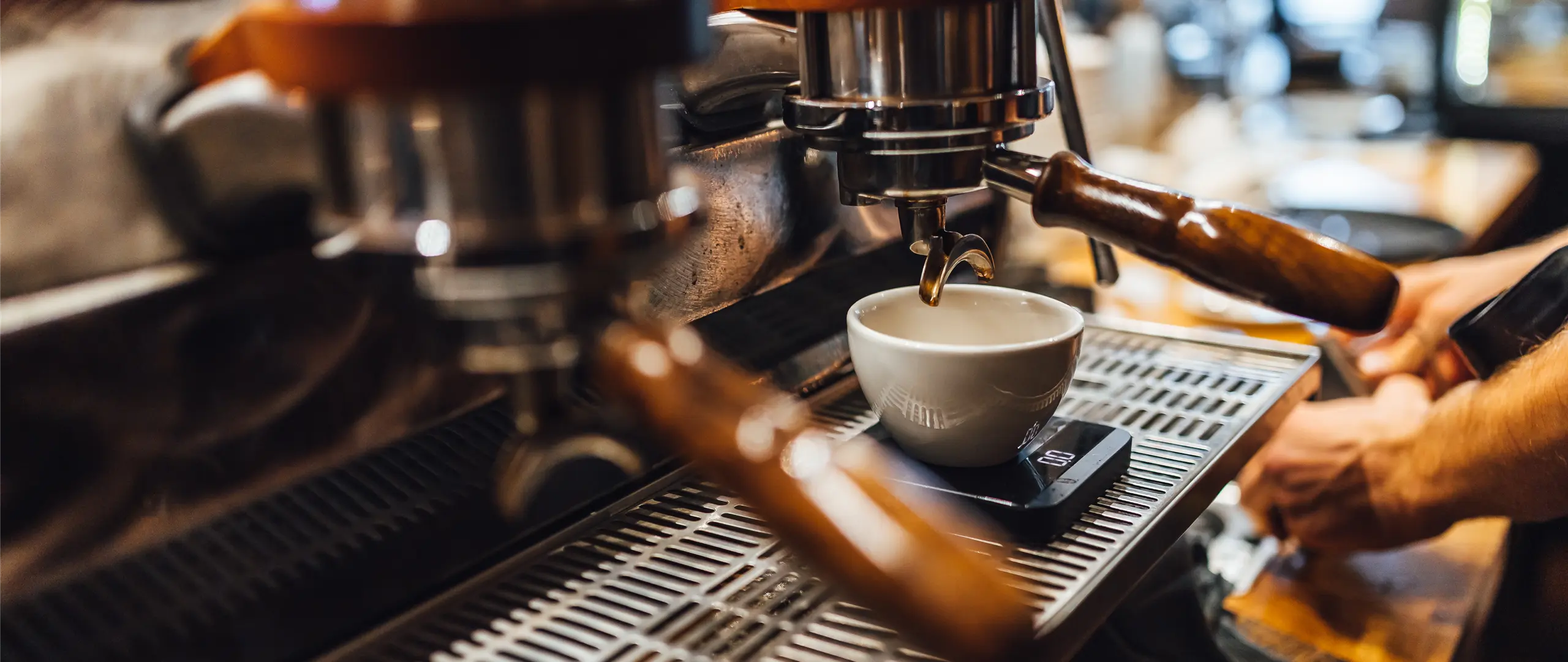 Hier handelt es sich um ein dekoratives Bildelement.