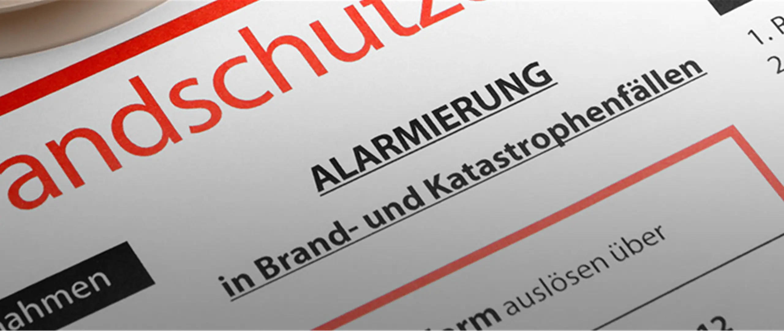 Hier handelt es sich um ein dekoratives Bildelement.
