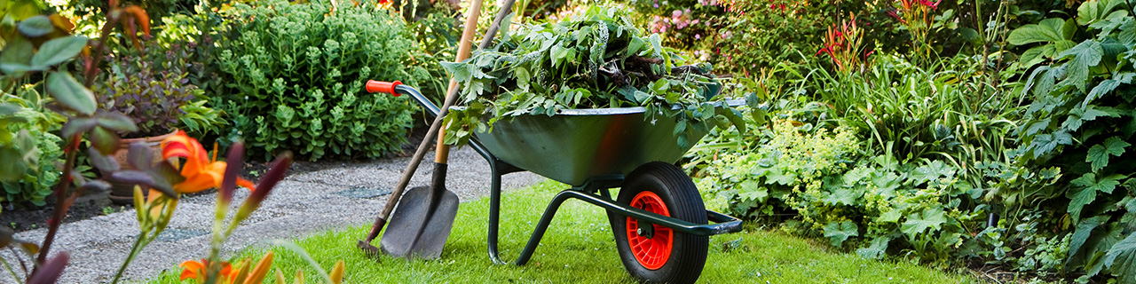 Hier handelt es sich um ein dekoratives Bildelement.