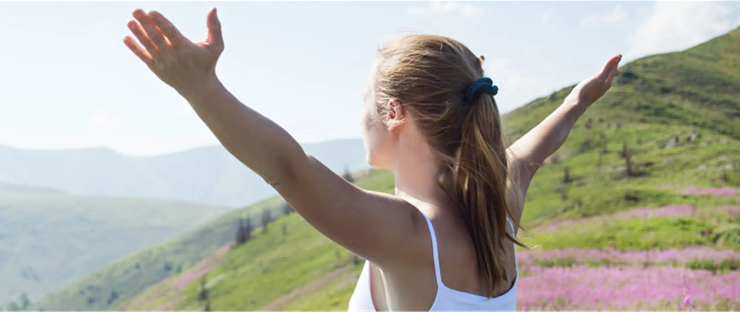 Hier handelt es sich um ein dekoratives Bildelement.