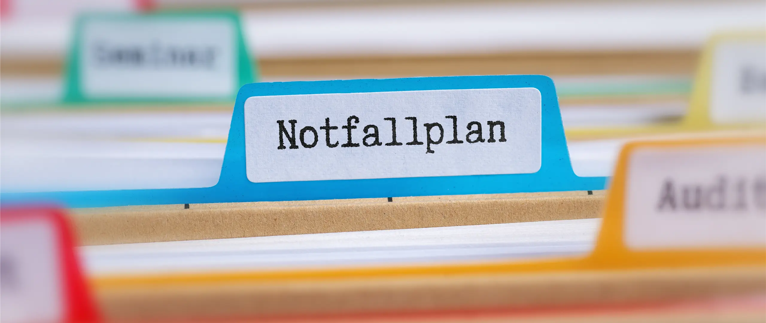 Hier handelt es sich um ein dekoratives Bildelement.