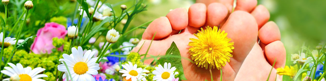 Hier handelt es sich um ein dekoratives Bildelement.