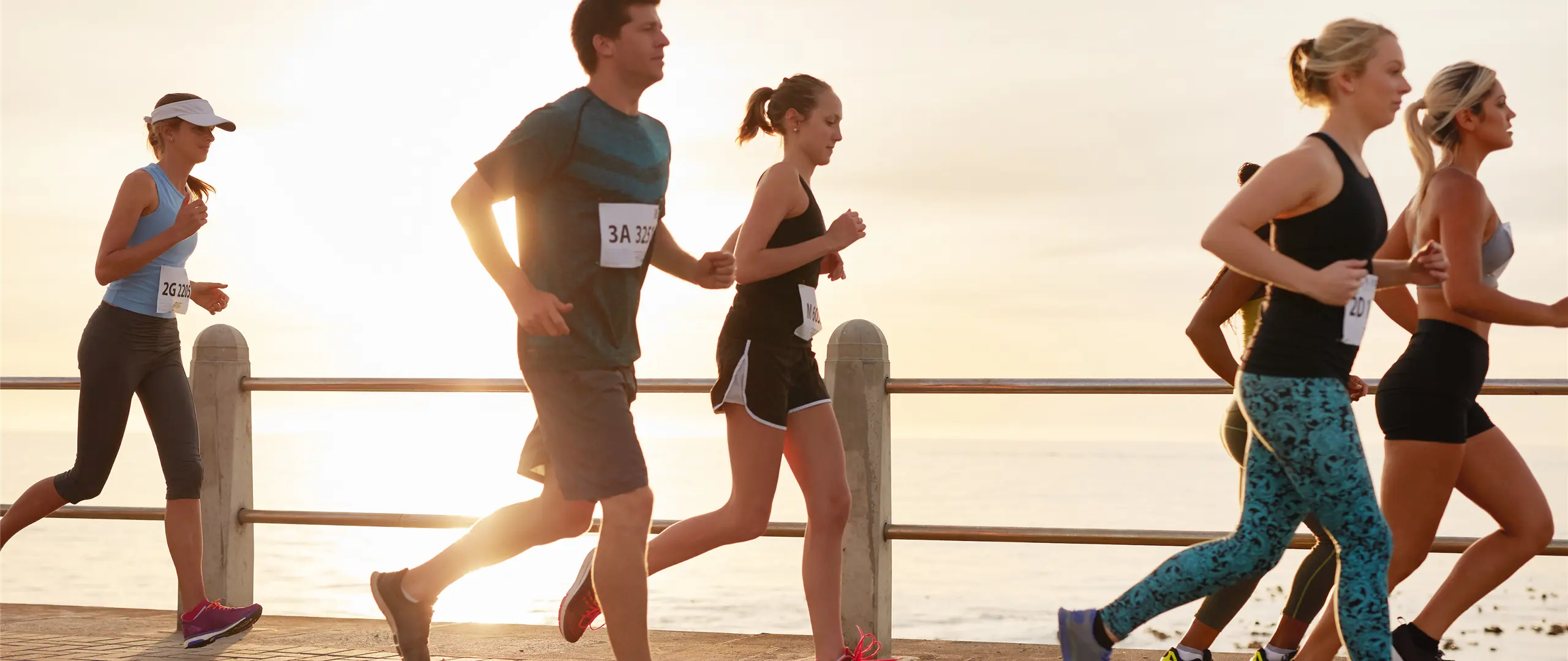 Hier handelt es sich um ein dekoratives Bildelement.