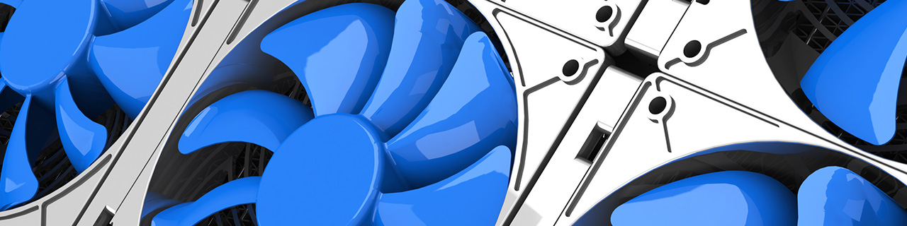 Hier handelt es sich um ein dekoratives Bildelement.