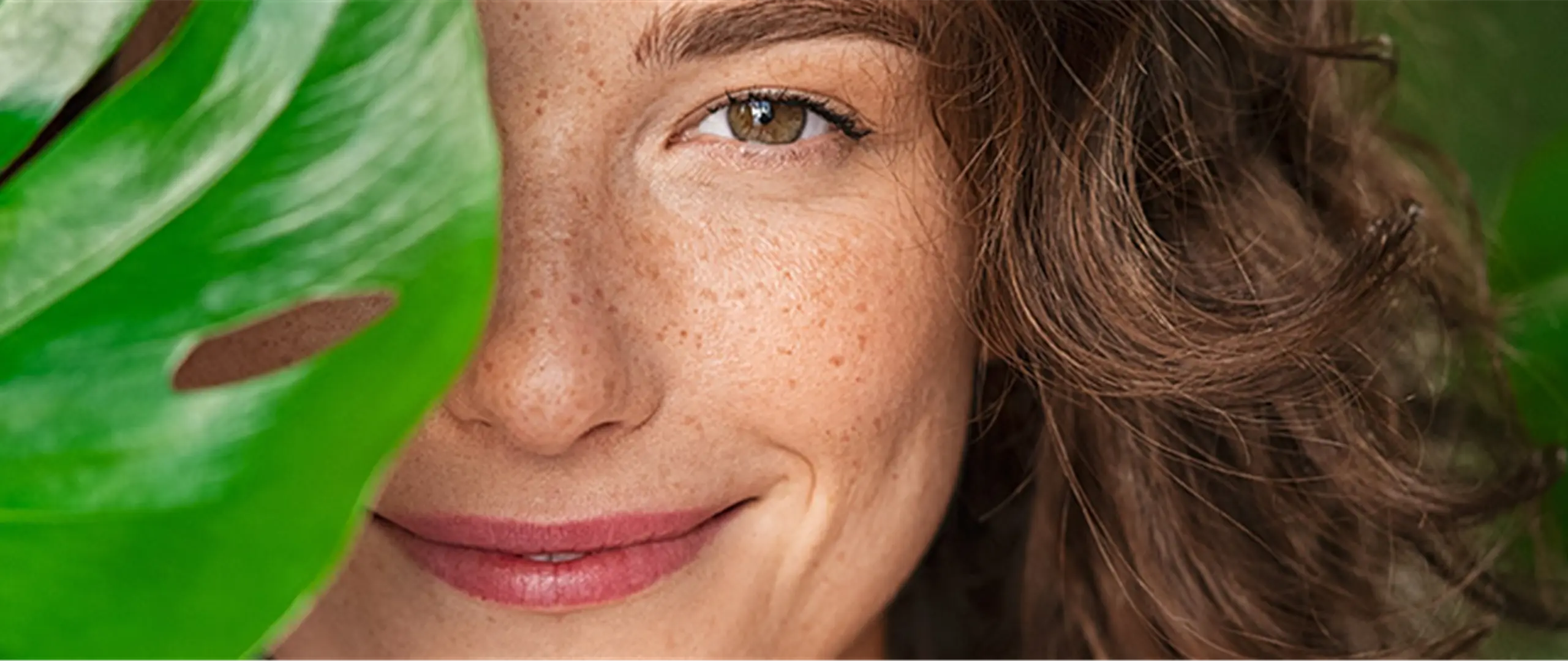 Hier handelt es sich um ein dekoratives Bildelement.