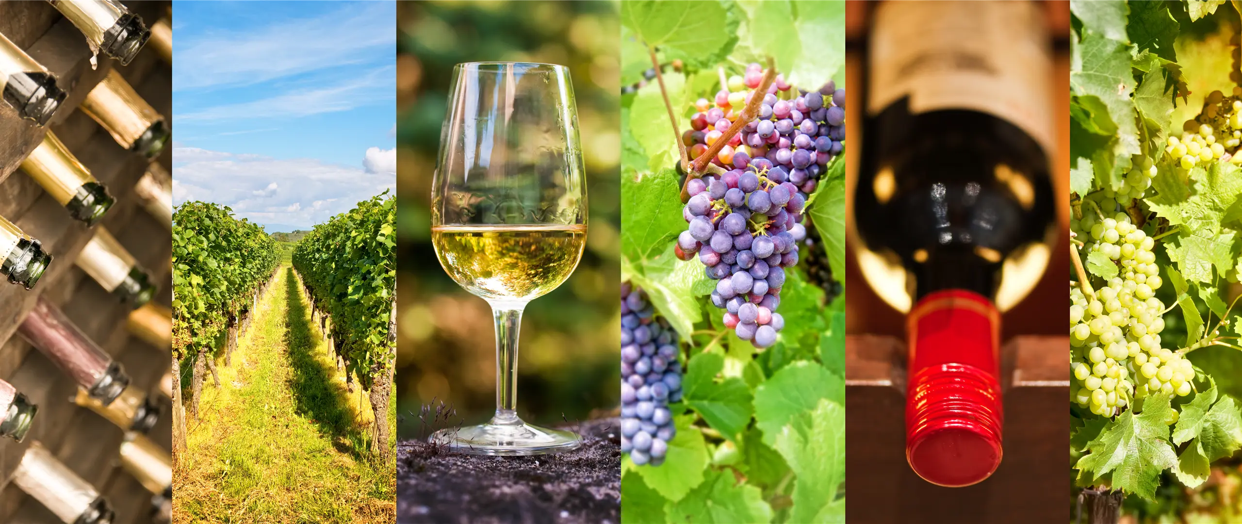 Hier handelt es sich um ein dekoratives Bildelement.