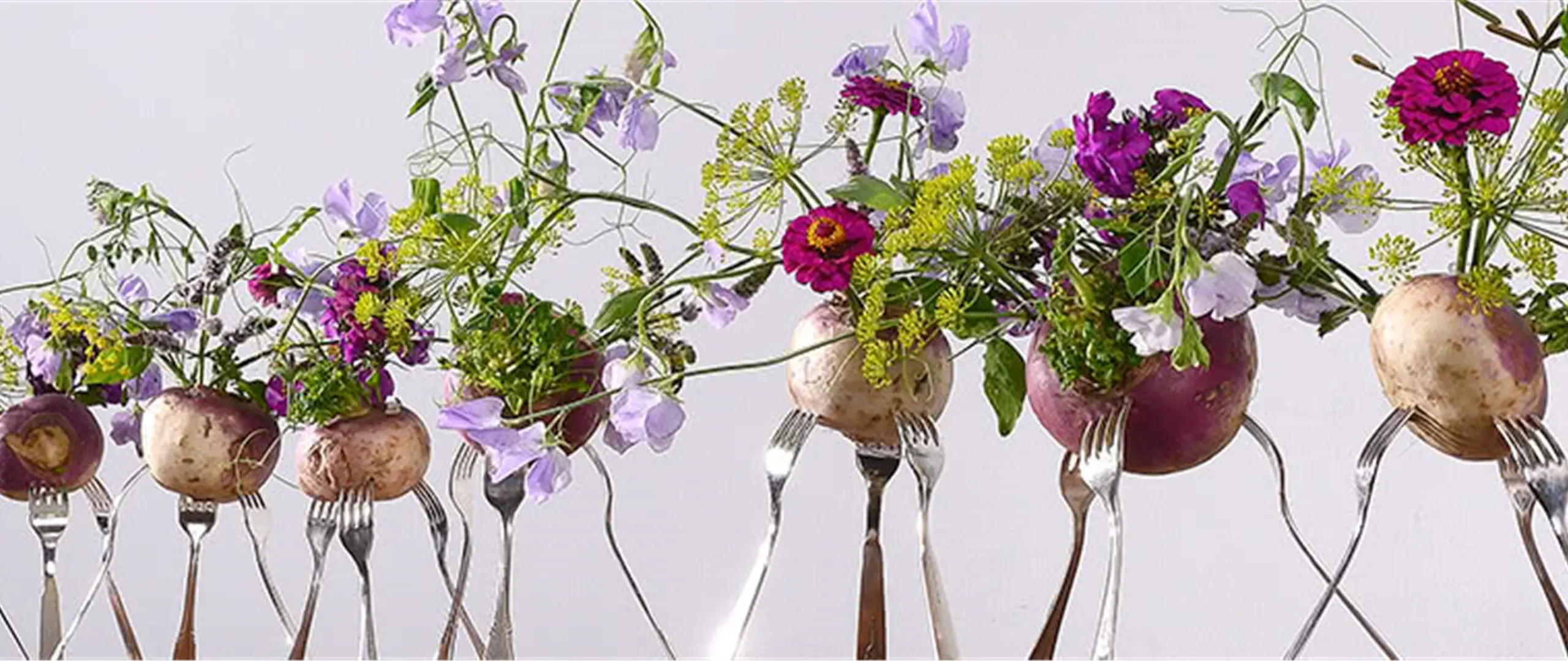 Hier handelt es sich um ein dekoratives Bildelement.