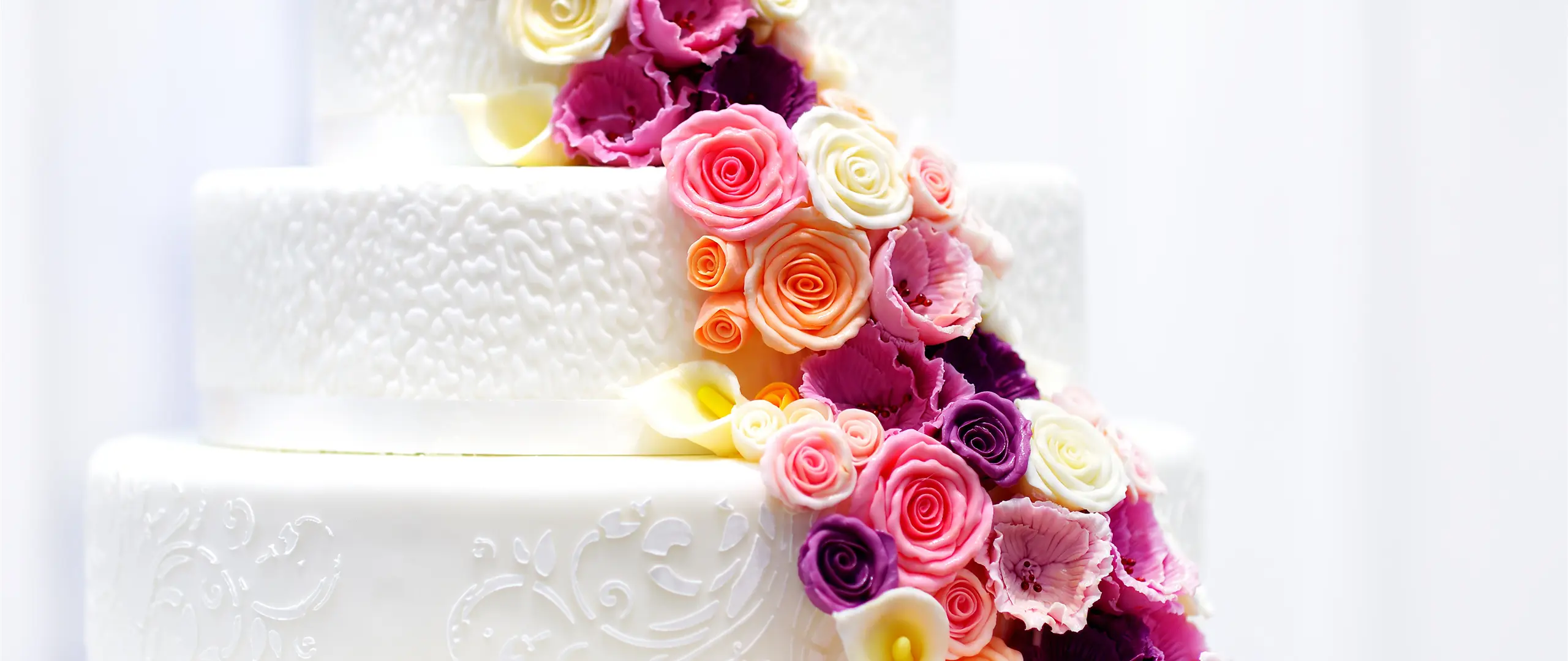 Hier handelt es sich um ein dekoratives Bildelement.